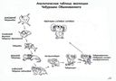 1166551202_cheburashka.jpg