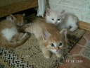 PICT0571.JPG